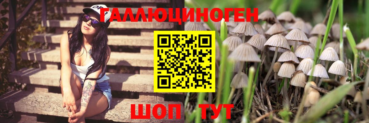 Псилоцибиновые грибы MAGIC MUSHROOMS  Вход с VPN  Новороссийск  Галлюциногенные грибы прущие грибы 