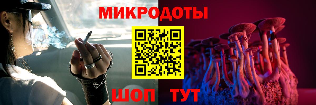 Псилоцибиновые грибы мухоморы Новороссийск